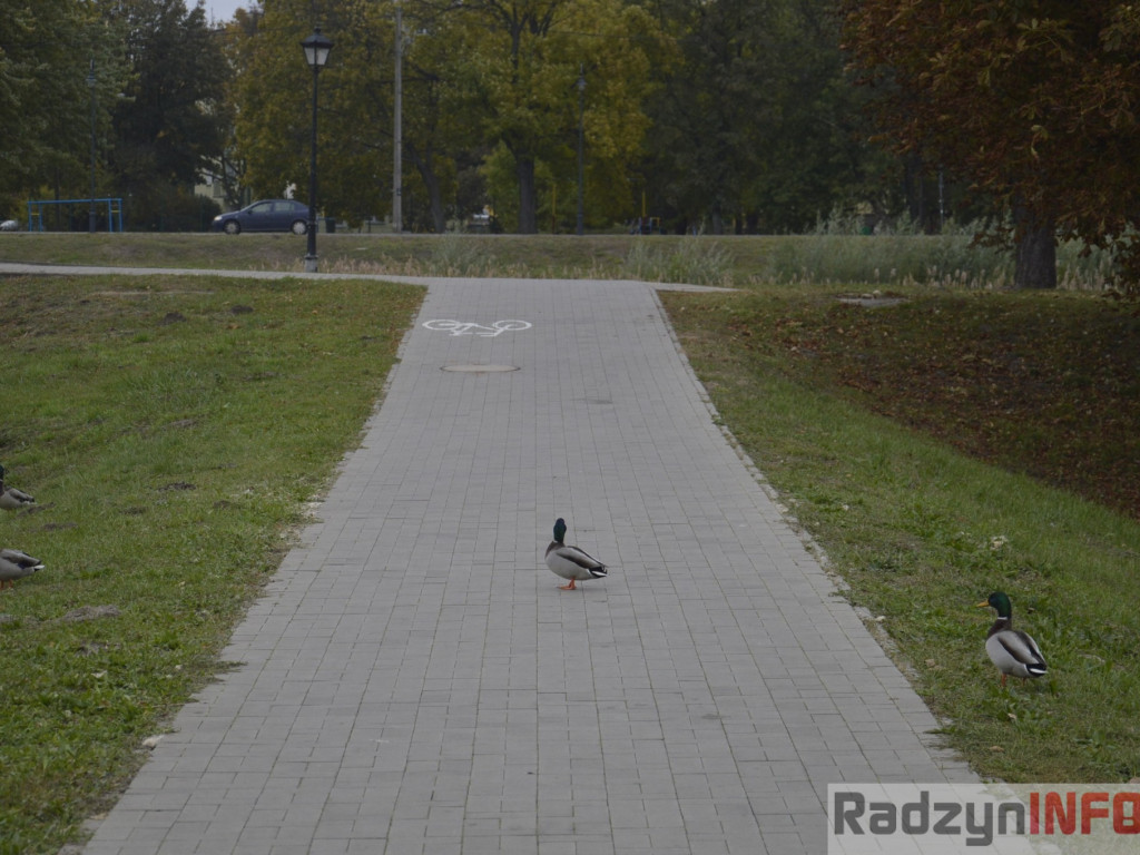 Spotkasz je na ścieżce