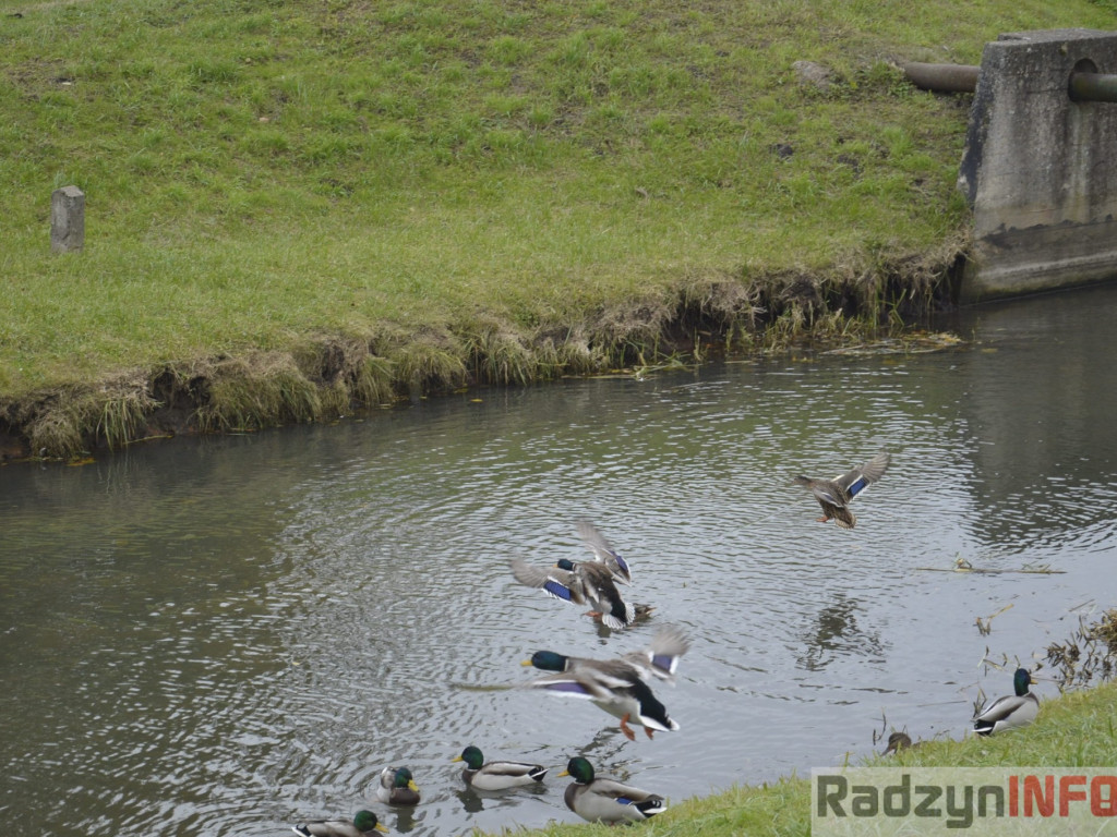 Spotkasz je na ścieżce