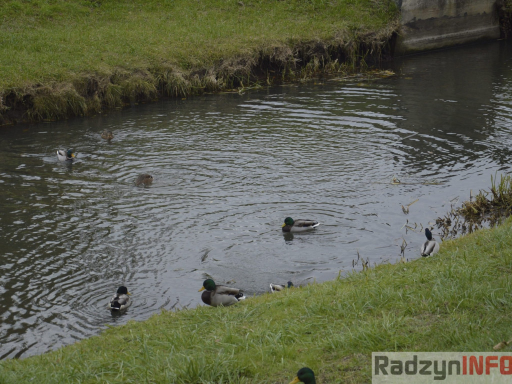 Spotkasz je na ścieżce