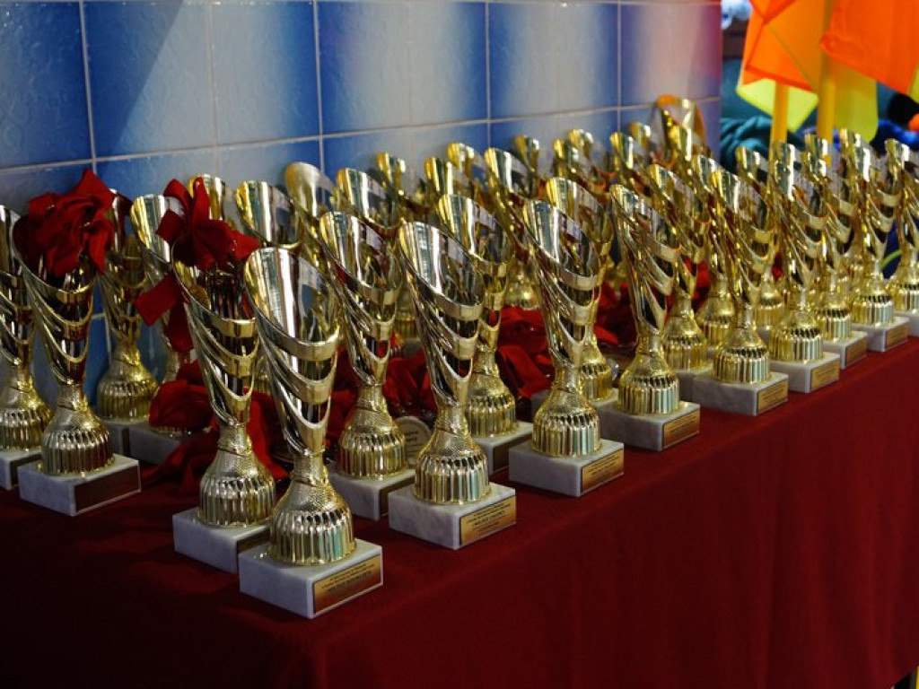 Radzyńscy pływacy na zawodach w Lubartowie