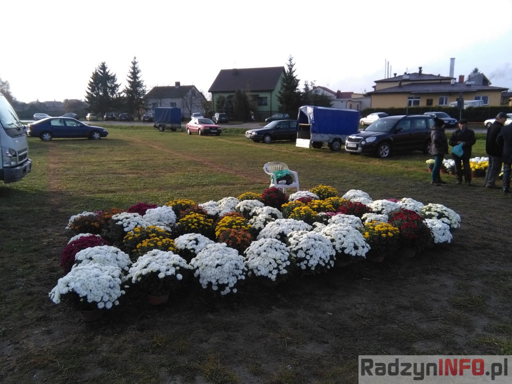 Nawiedzając najstarszy radzyński cmentarz