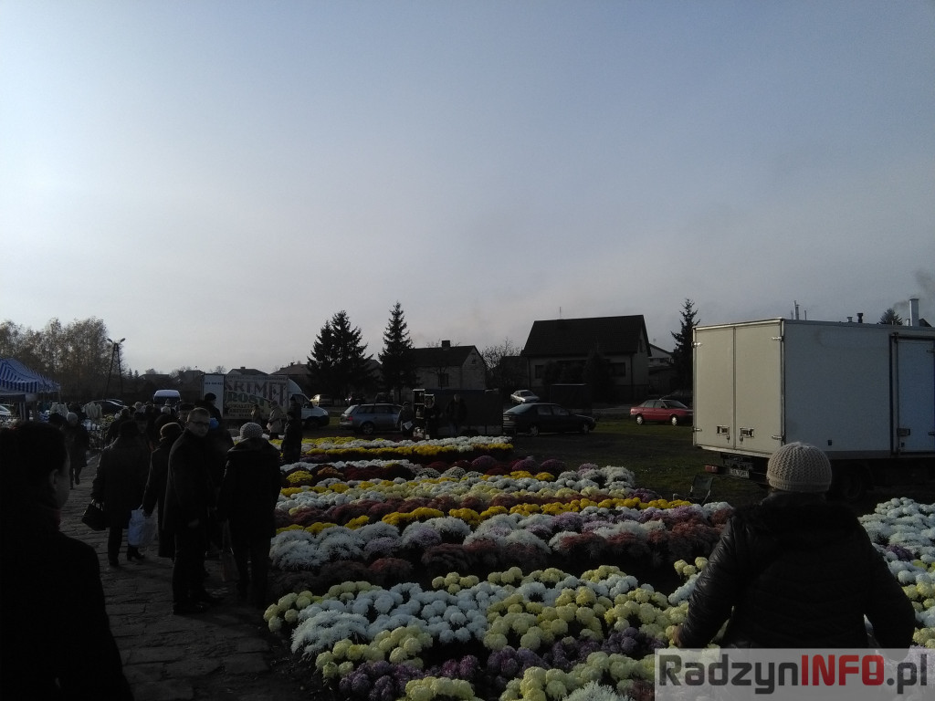 Nawiedzając najstarszy radzyński cmentarz