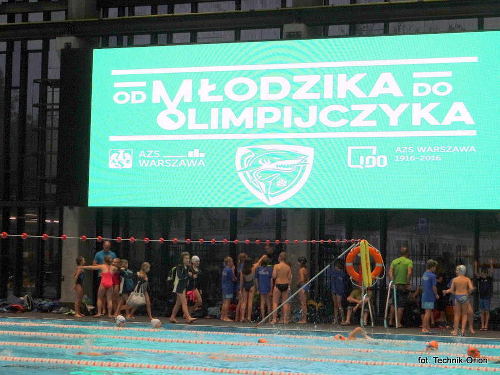 Radzyńscy pływacy - od młodzików do olimpijczyków