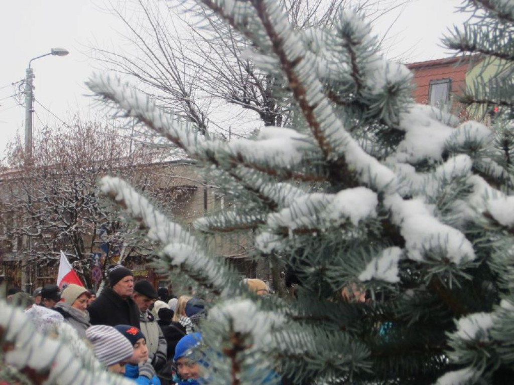 Semper Fidelis Tibi Poloniae!