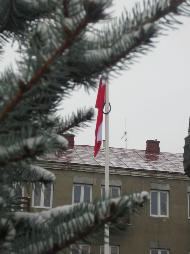 Semper Fidelis Tibi Poloniae!