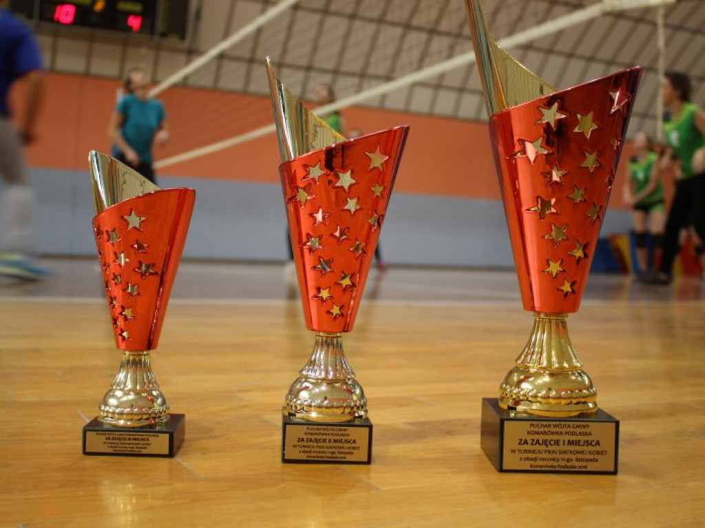 Panie walczyły w Turnieju Piłki Siatkowej