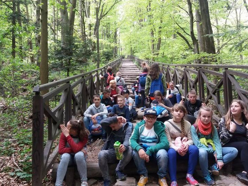 Wycieczka w góry Świętokrzyskie