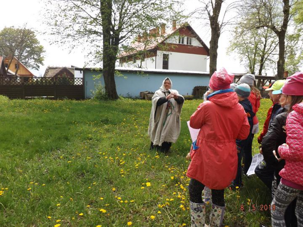 Zielona Szkoła Hołowno 2017 - klasa 3c