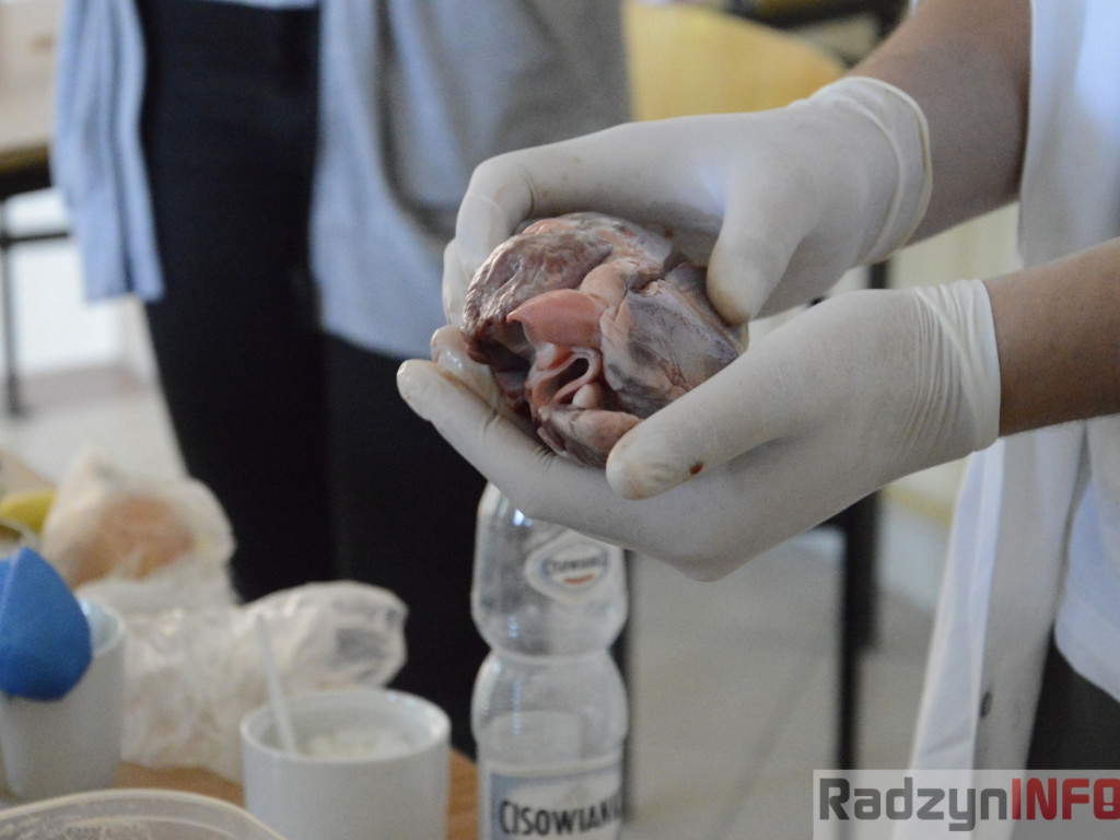 Witaj w I Liceum Ogólnokształcącym