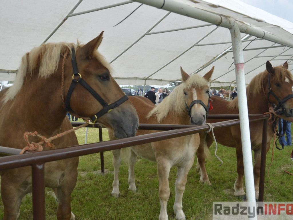 W Bedlnie królowała 