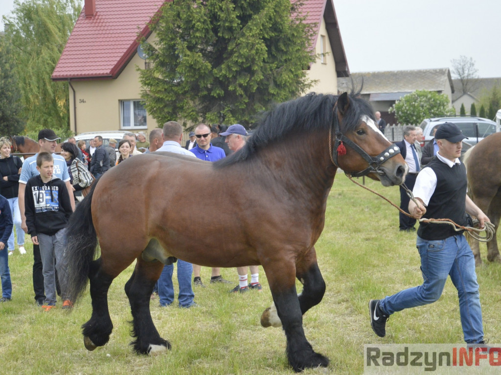 W Bedlnie królowała 