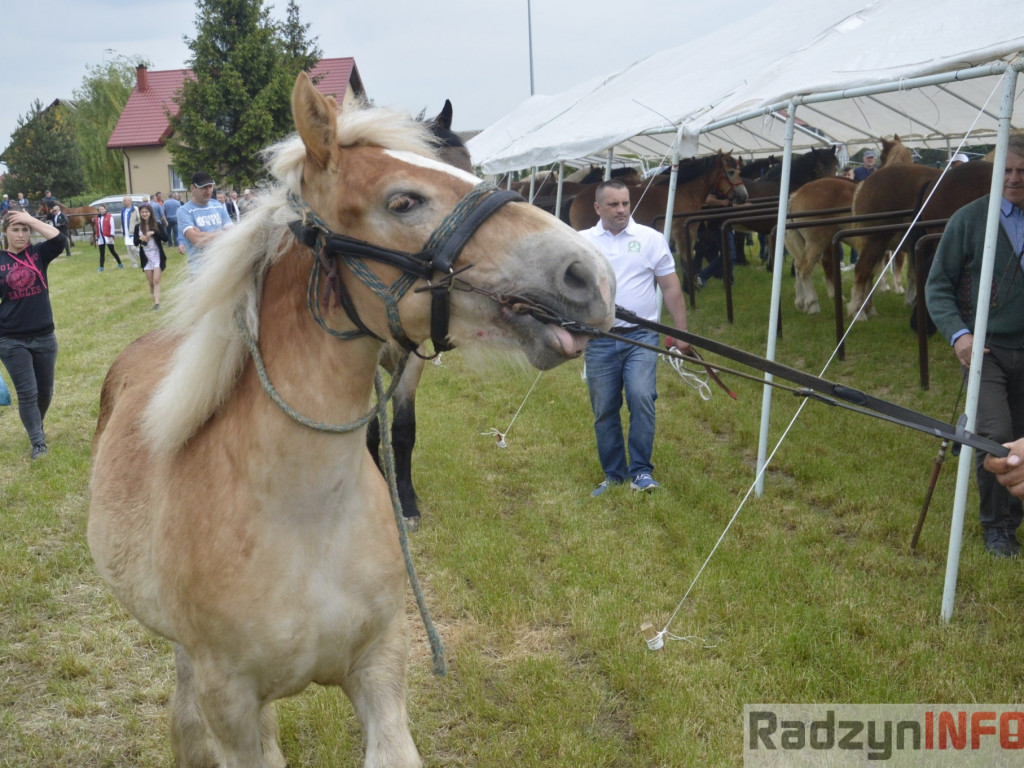 W Bedlnie królowała 