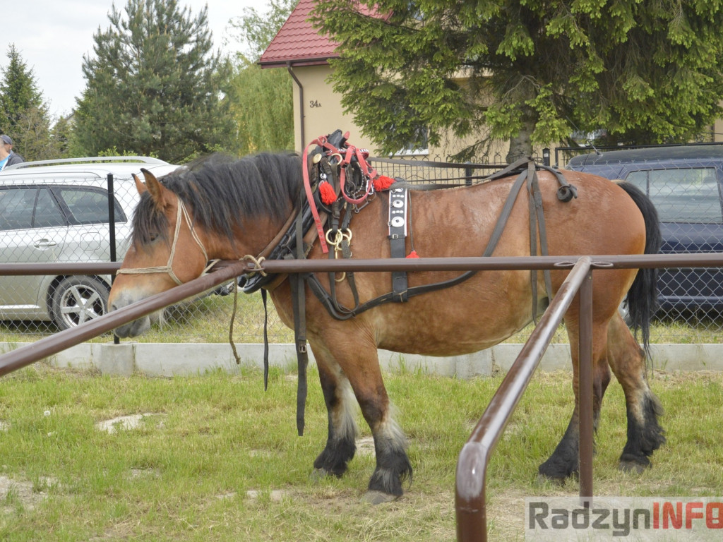 W Bedlnie królowała 