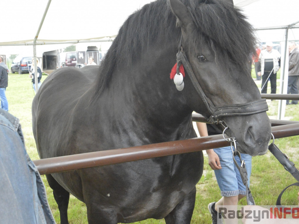 W Bedlnie królowała 