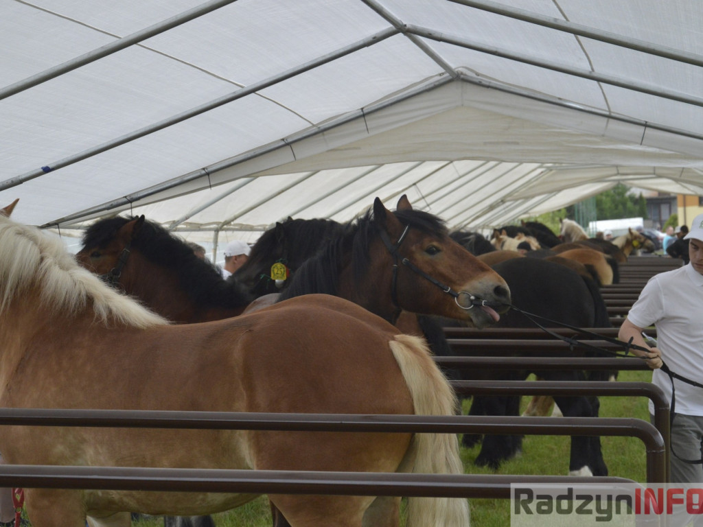 W Bedlnie królowała 