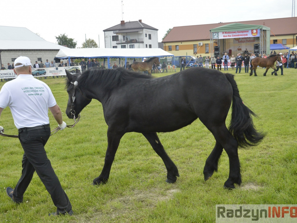W Bedlnie królowała 