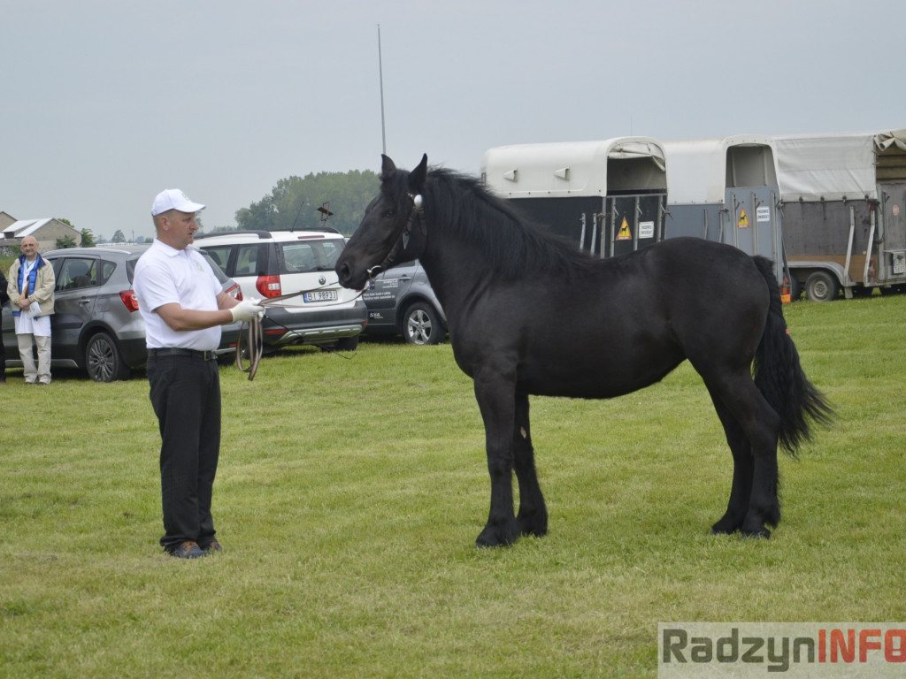 W Bedlnie królowała 