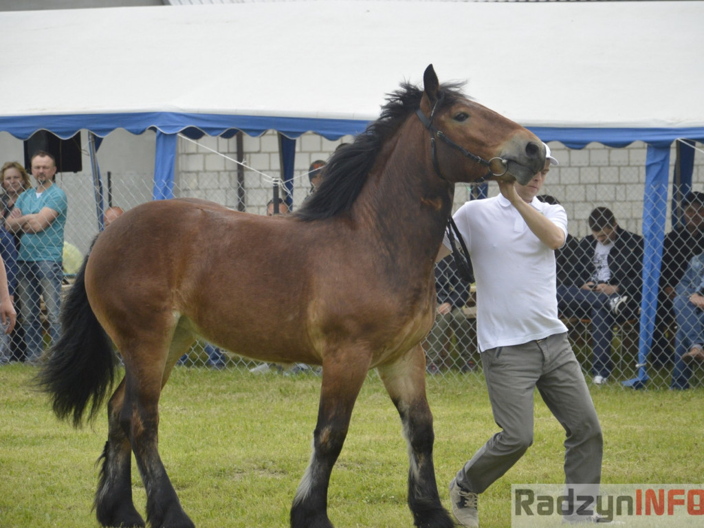 W Bedlnie królowała 