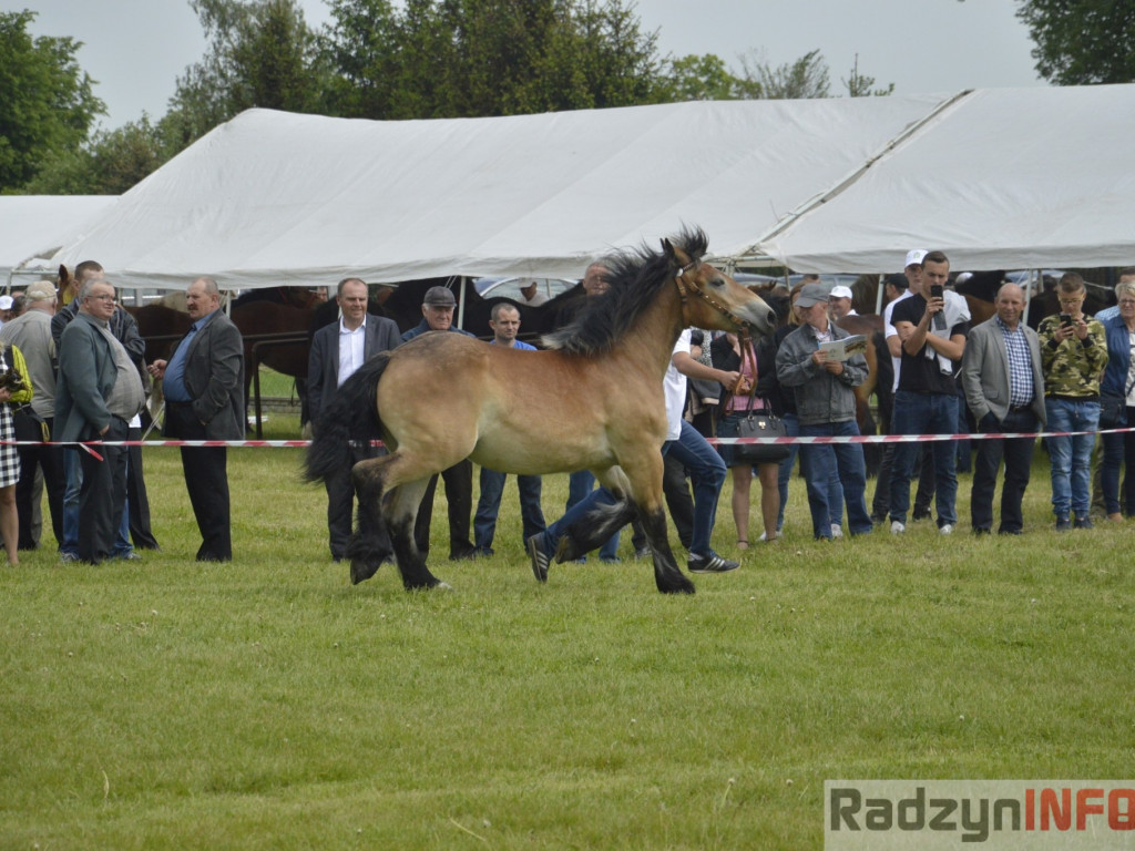 W Bedlnie królowała 