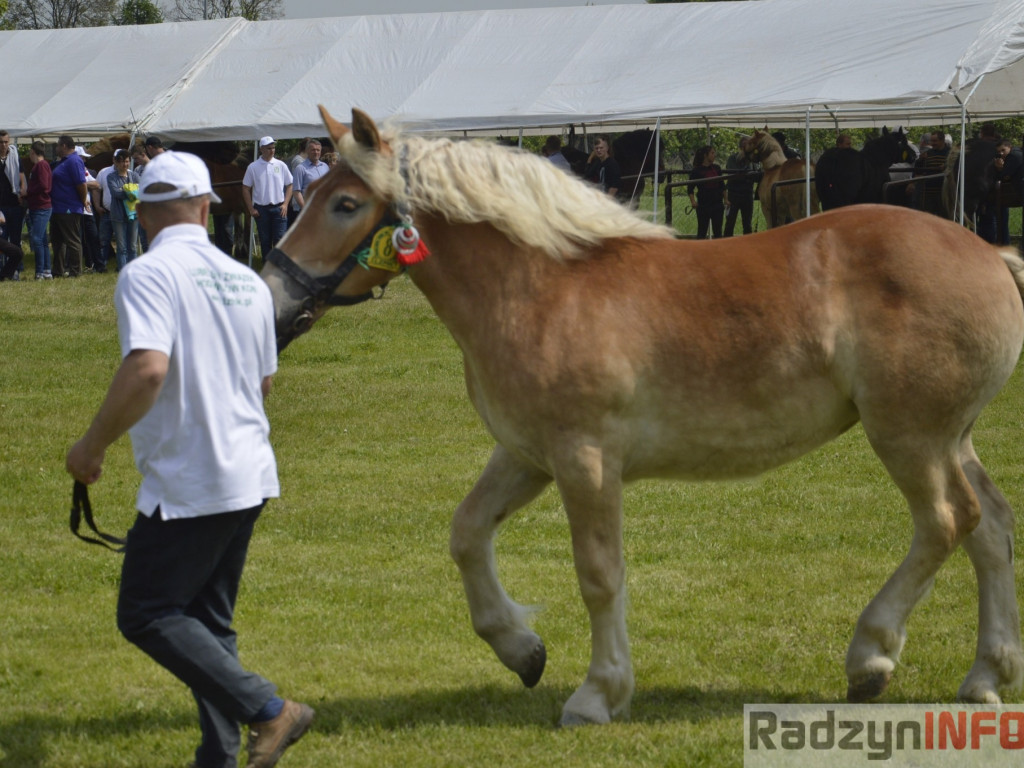 W Bedlnie królowała 