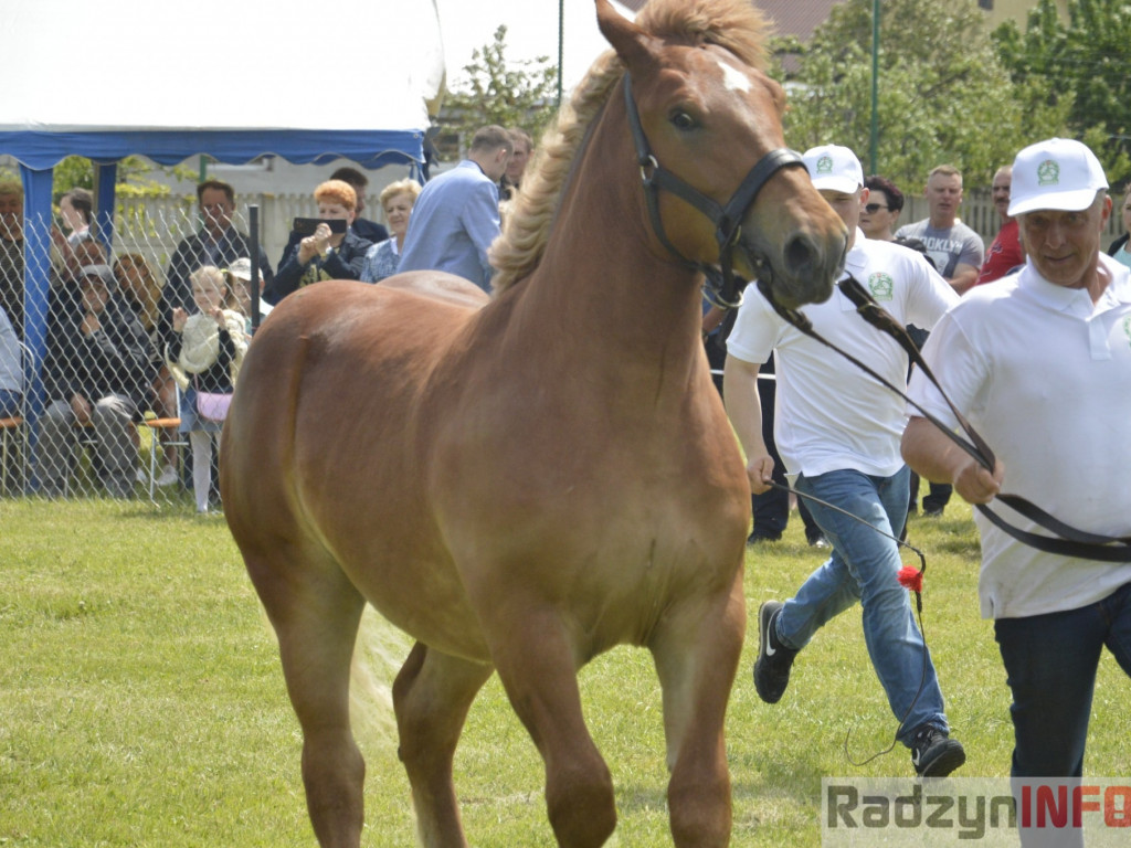 W Bedlnie królowała 