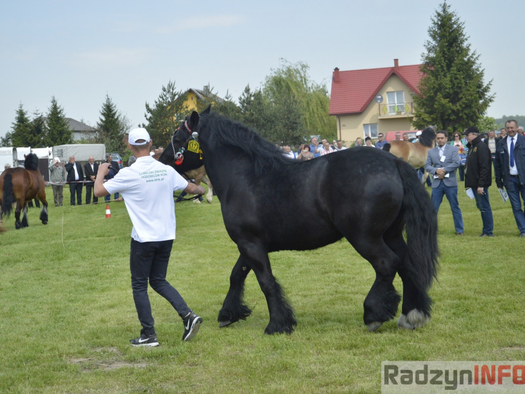 W Bedlnie królowała 