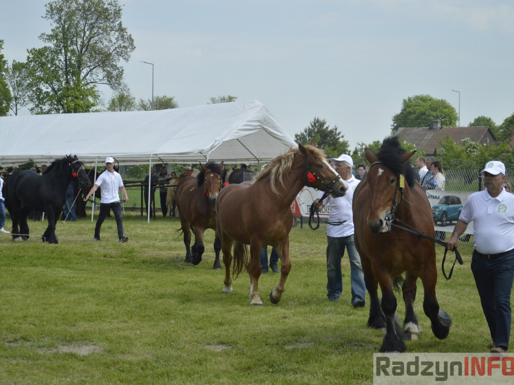 W Bedlnie królowała 