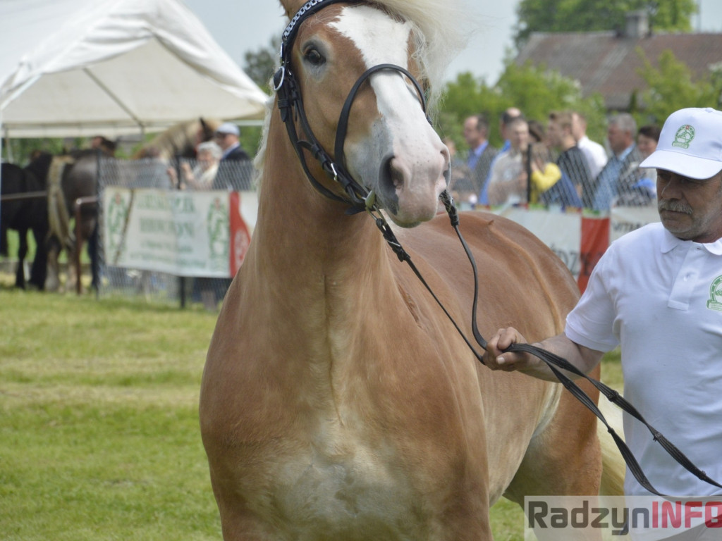 W Bedlnie królowała 