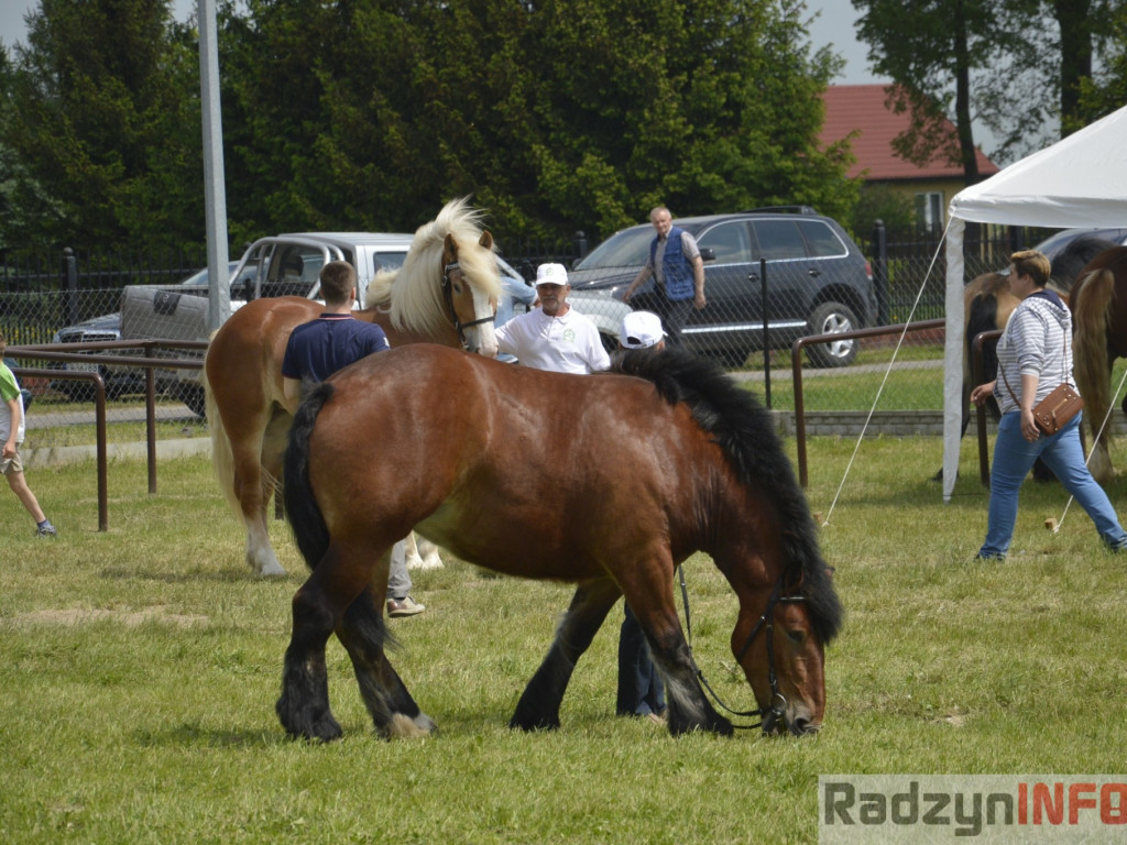 W Bedlnie królowała 