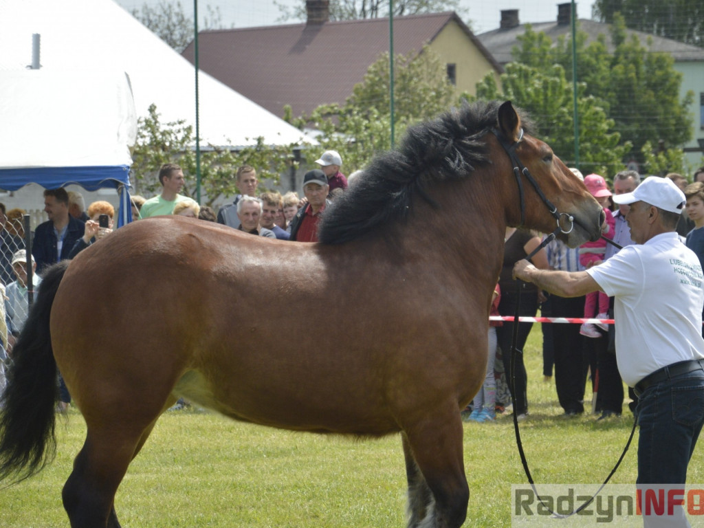 W Bedlnie królowała 