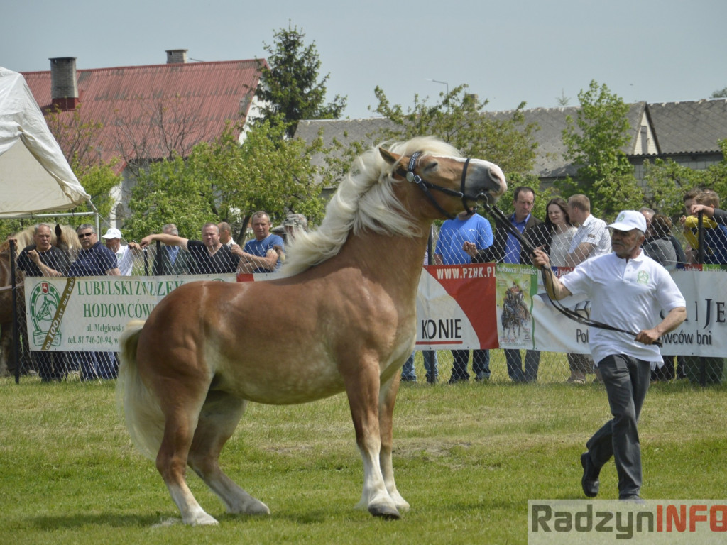 W Bedlnie królowała 