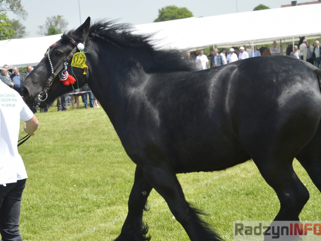 W Bedlnie królowała 