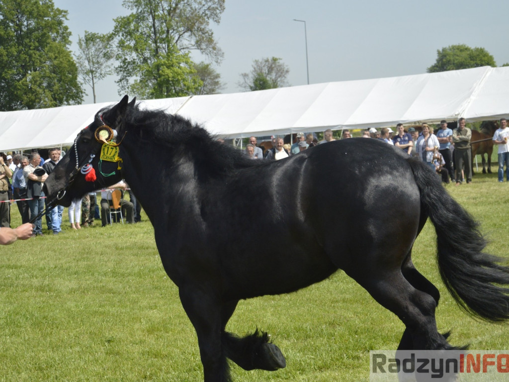 W Bedlnie królowała 