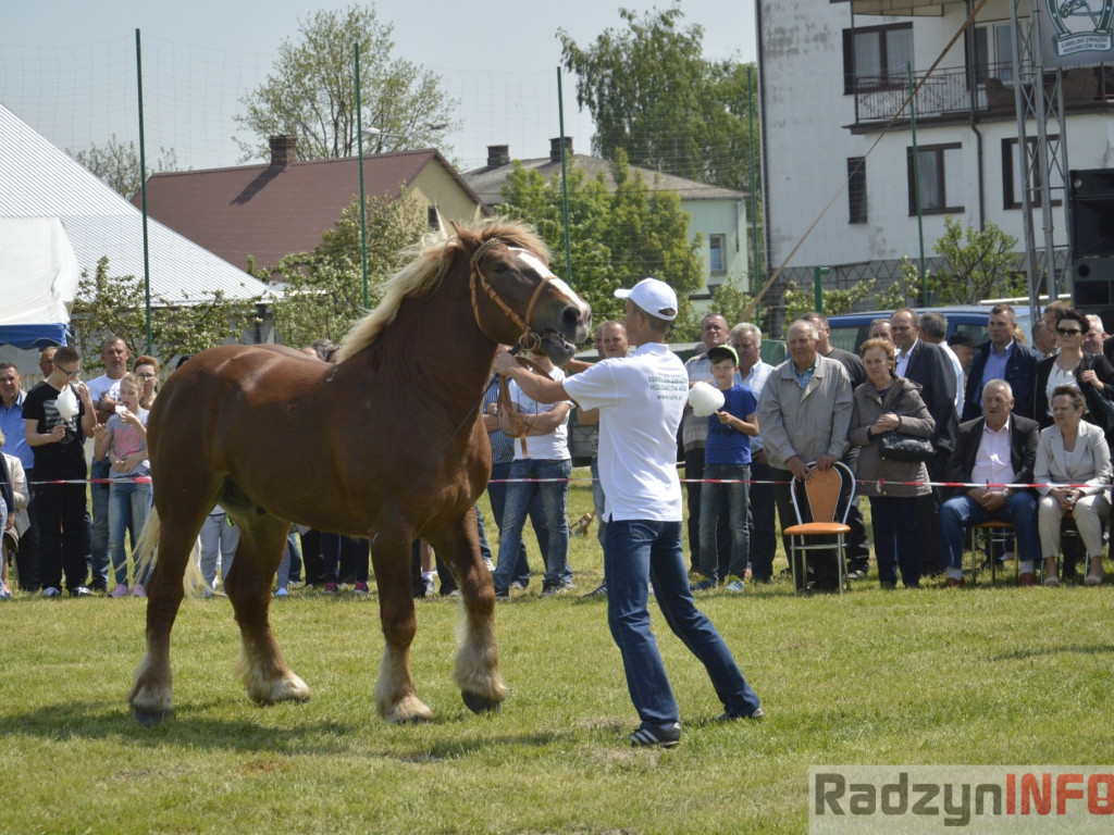 W Bedlnie królowała 