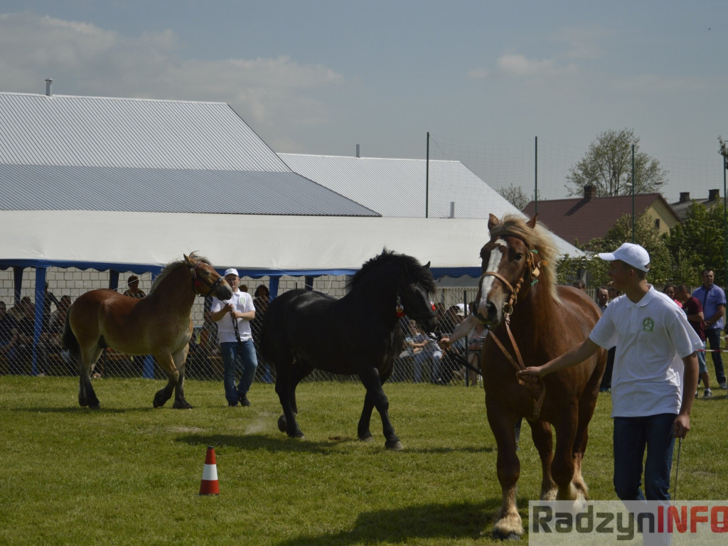 W Bedlnie królowała 