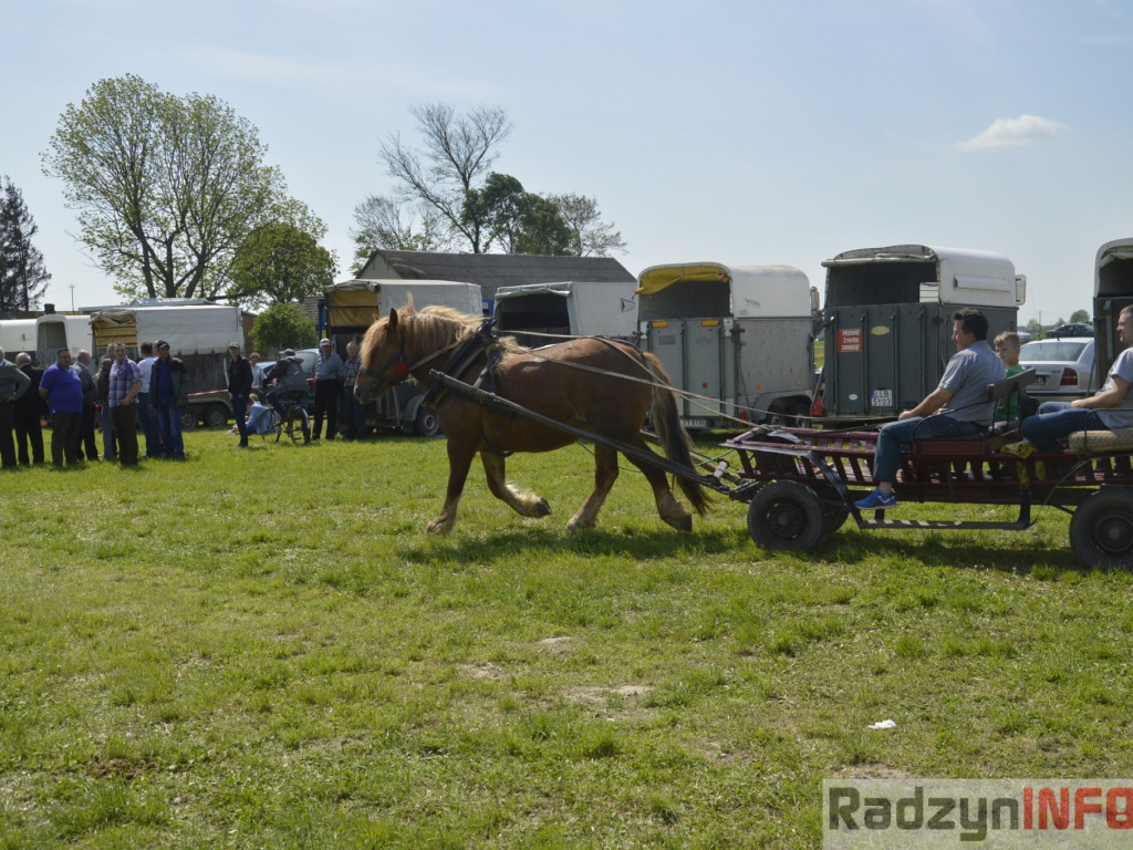 W Bedlnie królowała 