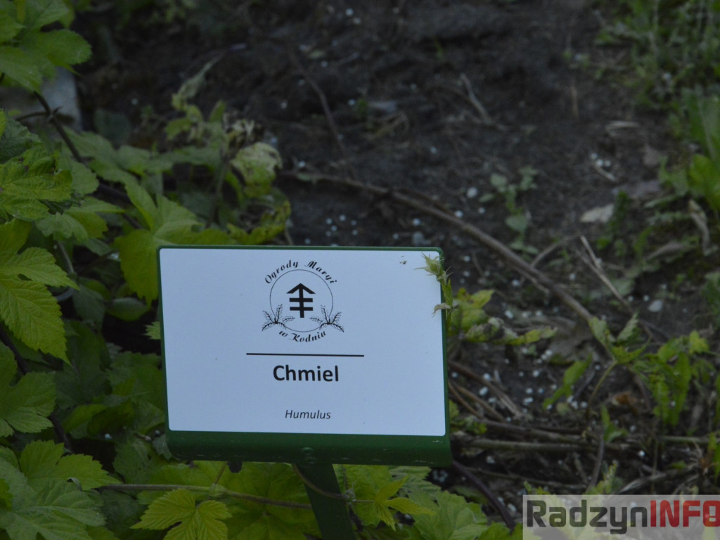 Patrzy na nas historia - Dzień Skupienia WiN