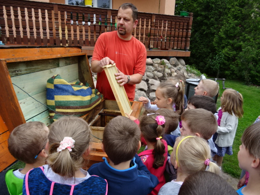 Przedszkolaki z Reja poznają zawód pszczelarza