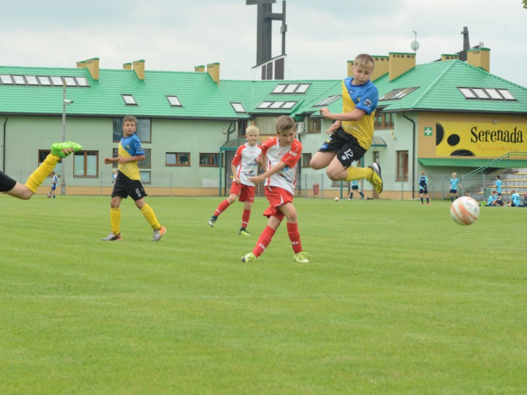 Rozgrywki o puchar burmistrza