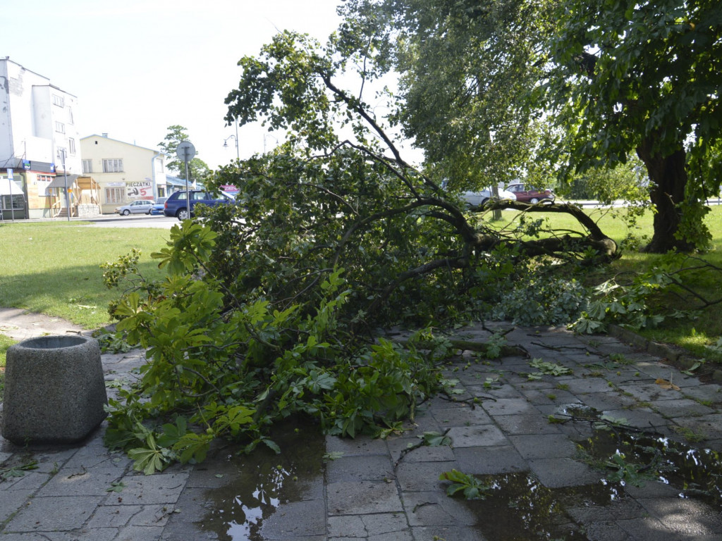 Radzyń, Marynin, Czemierniki po wichurze