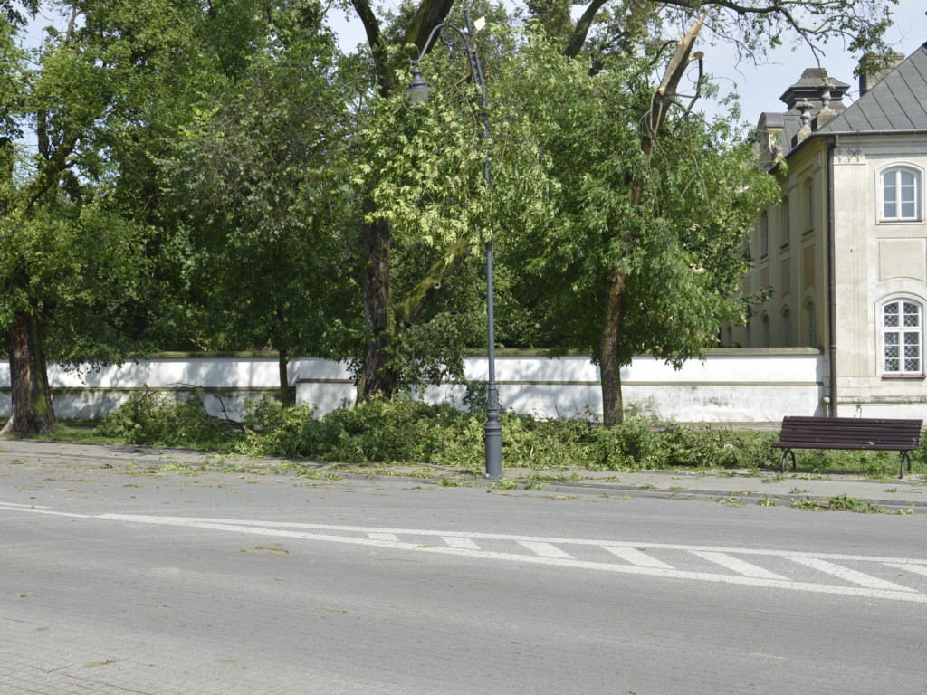 Radzyń, Marynin, Czemierniki po wichurze