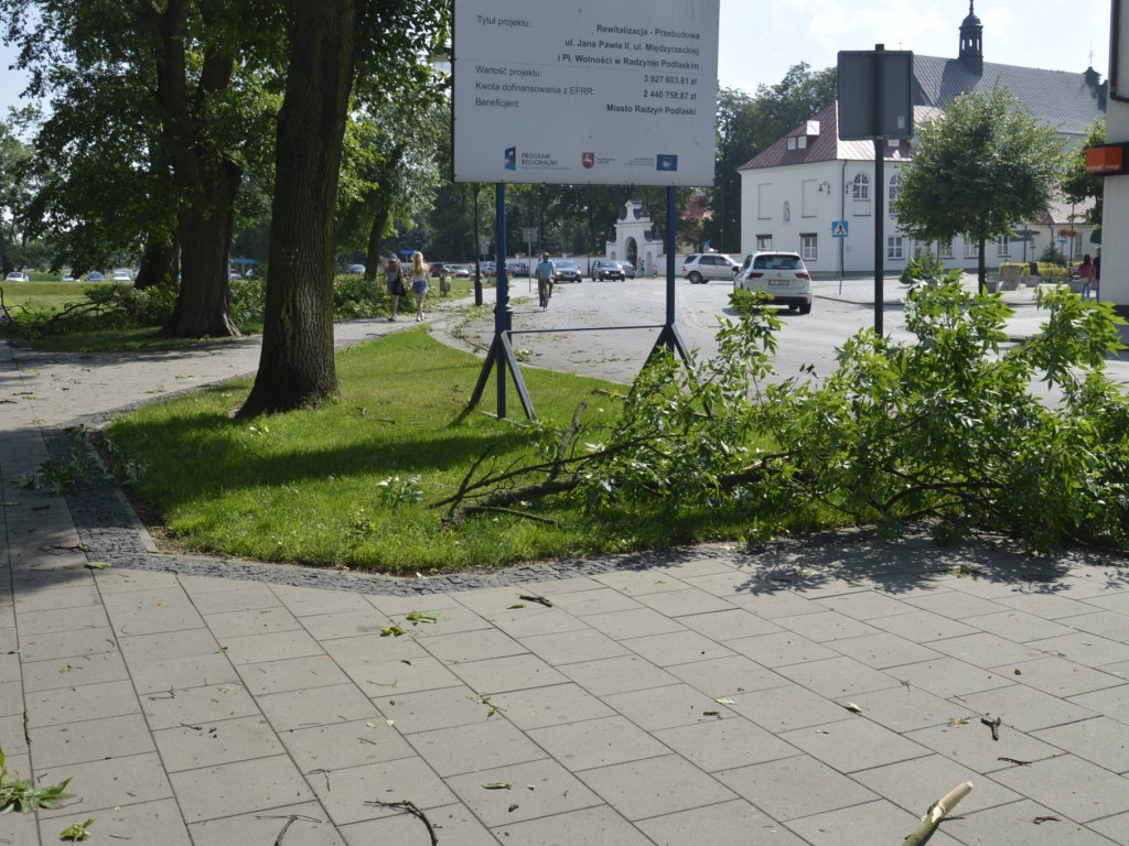 Radzyń, Marynin, Czemierniki po wichurze