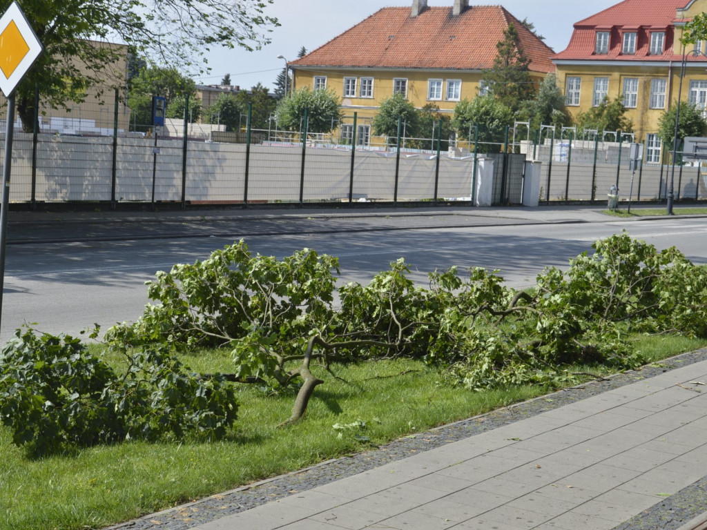Radzyń, Marynin, Czemierniki po wichurze
