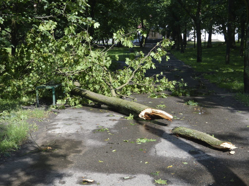 Radzyń, Marynin, Czemierniki po wichurze