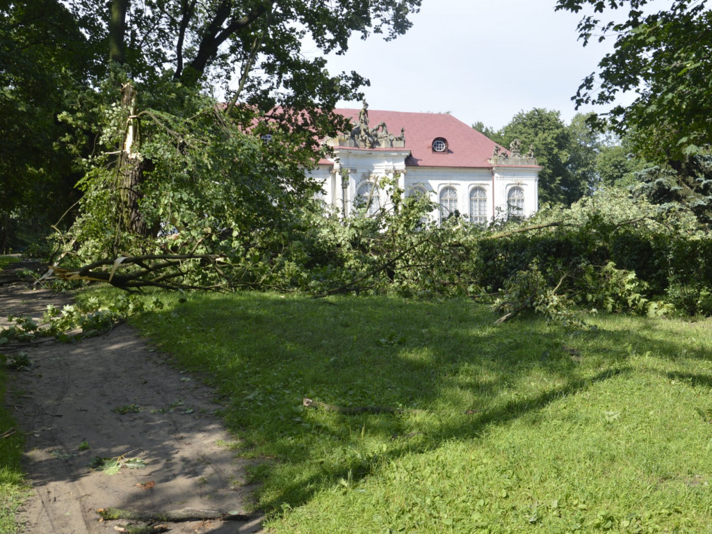Radzyń, Marynin, Czemierniki po wichurze