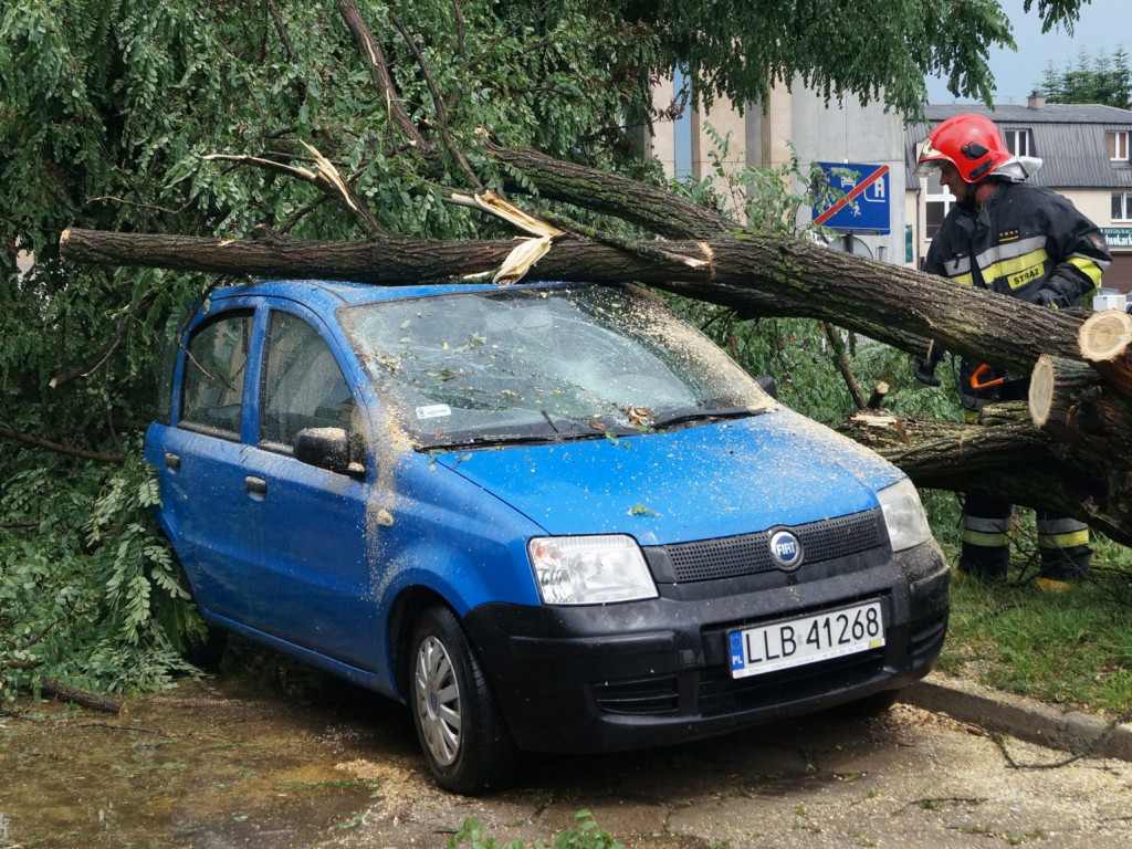 Radzyń, Marynin, Czemierniki po wichurze