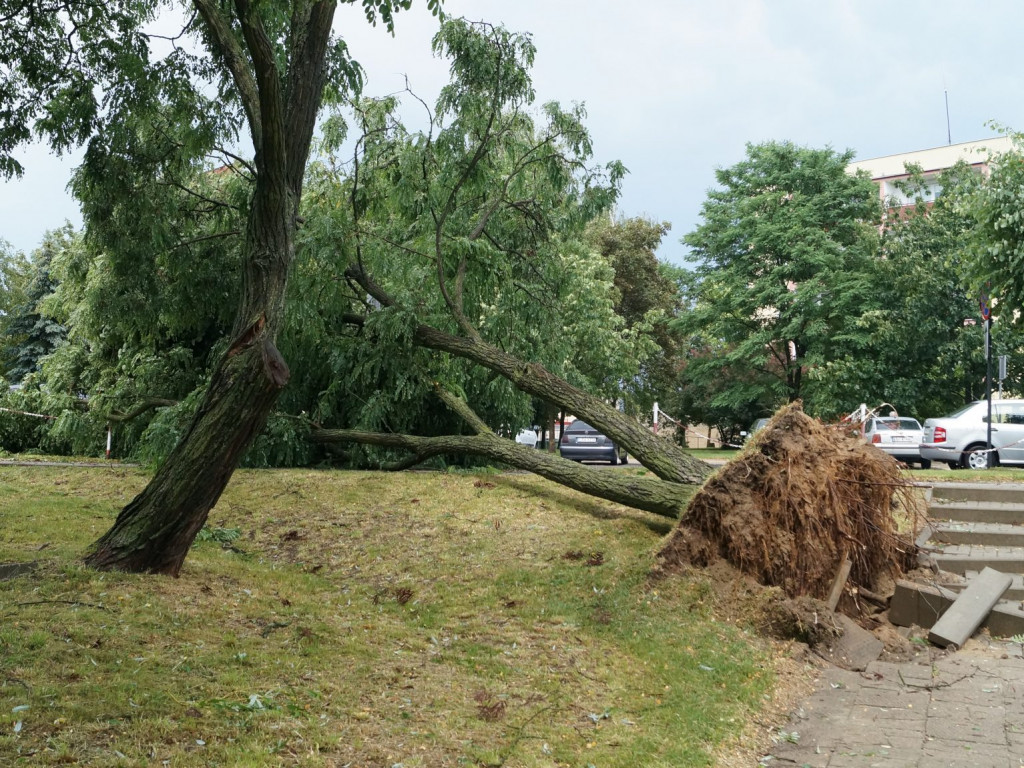 Radzyń, Marynin, Czemierniki po wichurze