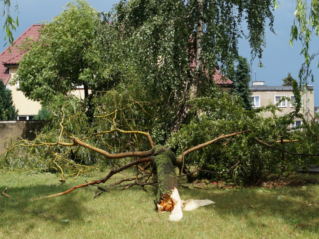 Radzyń, Marynin, Czemierniki po wichurze