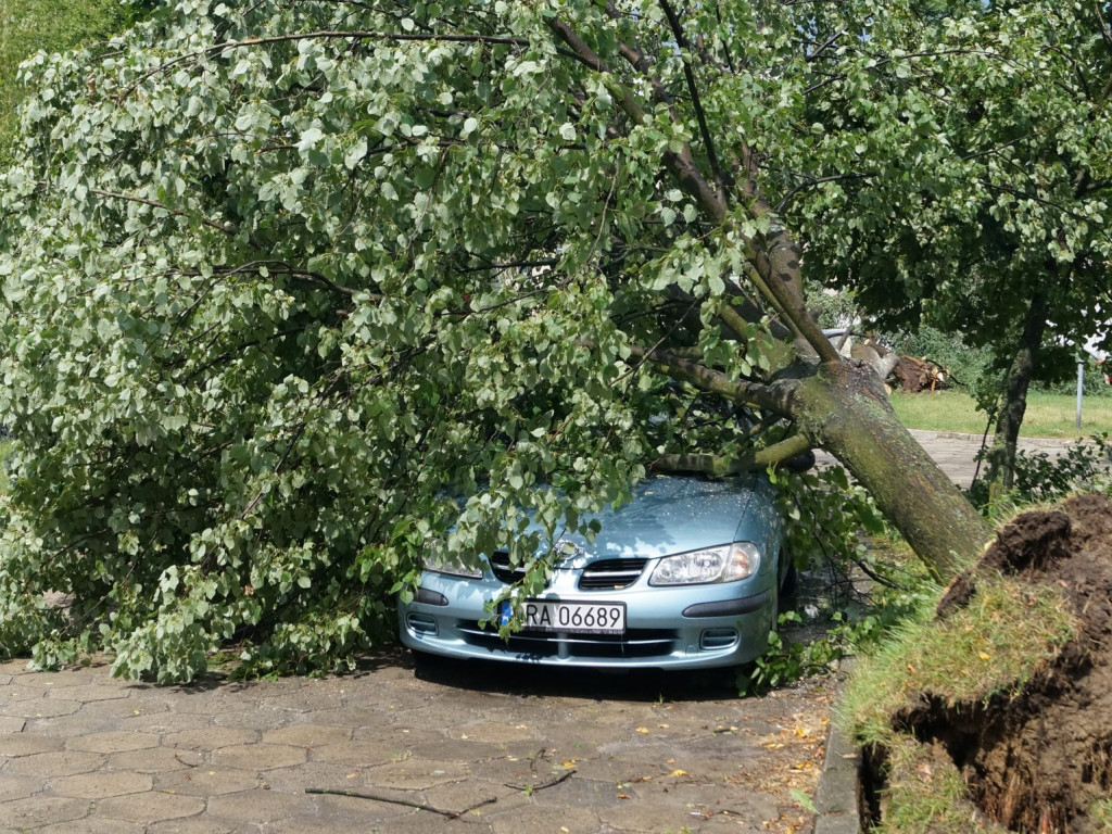 Radzyń, Marynin, Czemierniki po wichurze