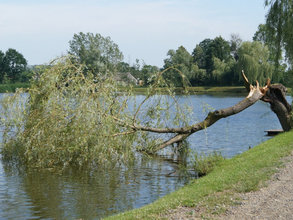 Radzyń, Marynin, Czemierniki po wichurze
